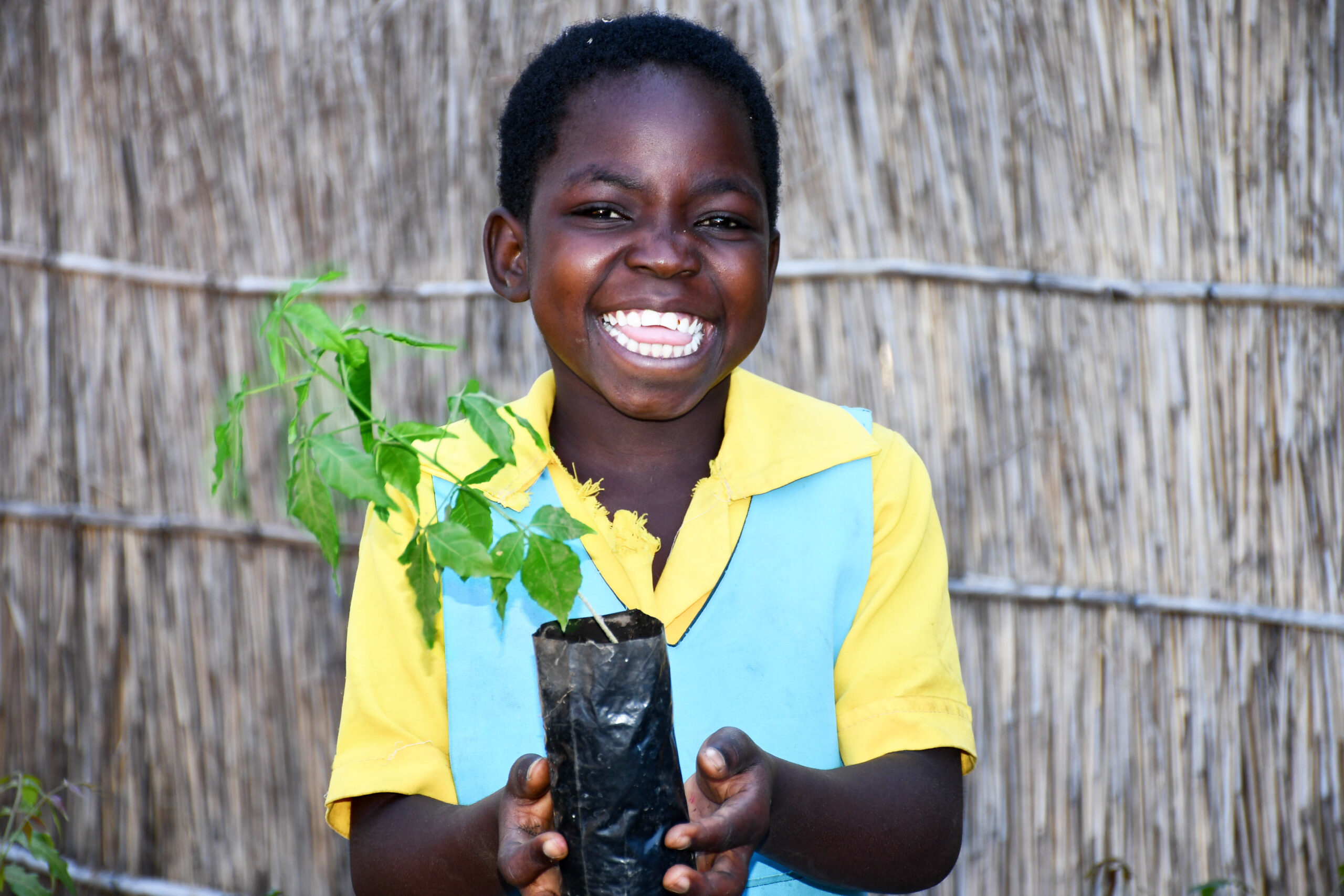 Hoofdbeeld campagne - Edukans-NL-crowdfunding-Malawi-Groentjes (14) - bewerkt kleuren